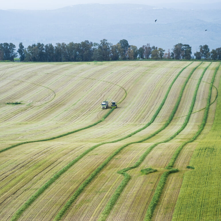 קציר שדה בגליל העליון ליד ראש פינה בצילום אווירי ממסוק