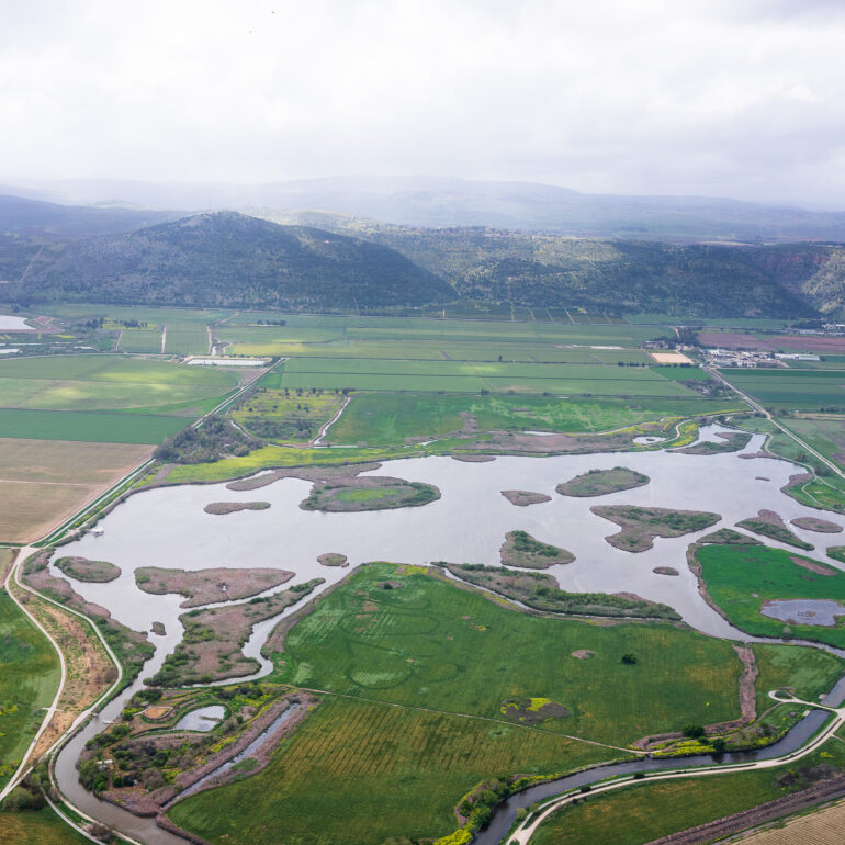 אגמון החולה בצילום אוויר