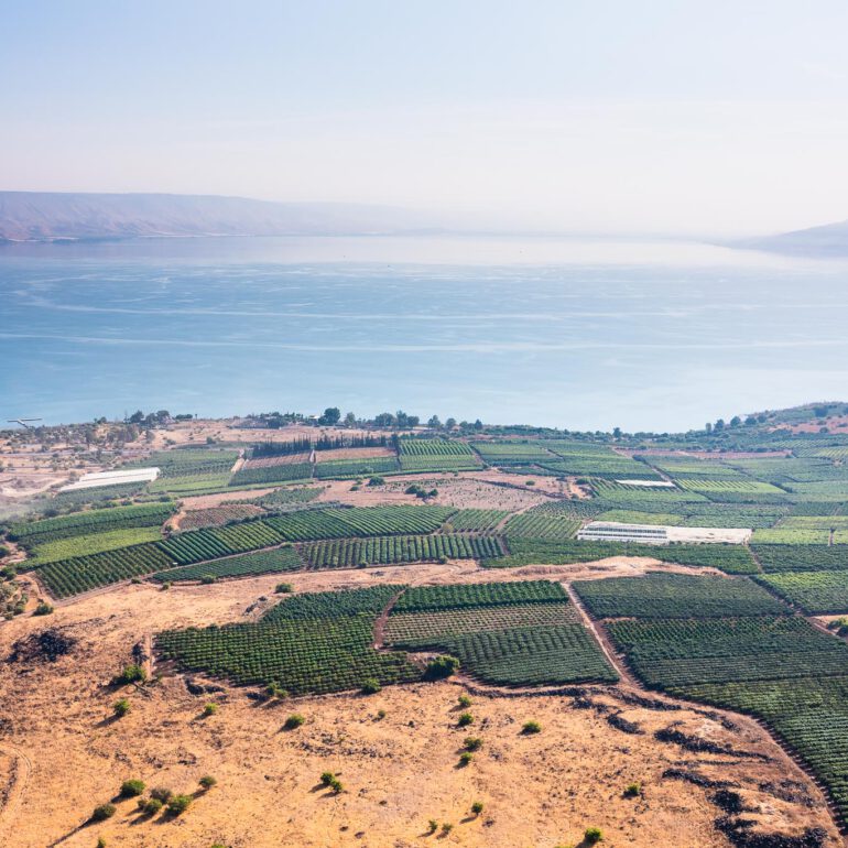 גן לאומי כפר נחום צופה אל הכנרת