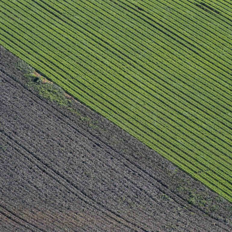 שדת עמק חפר