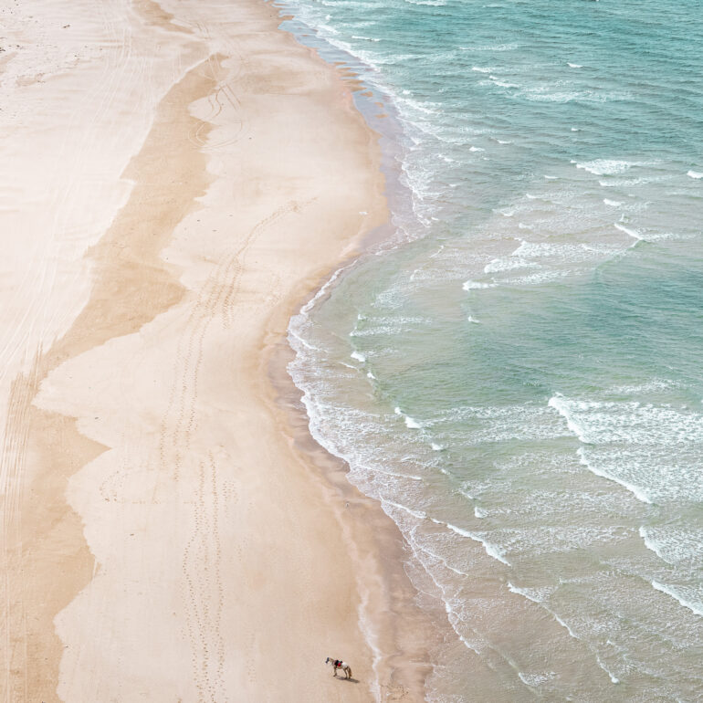 סוס ללא רוכב בצילום מהאוויר של חוף דור